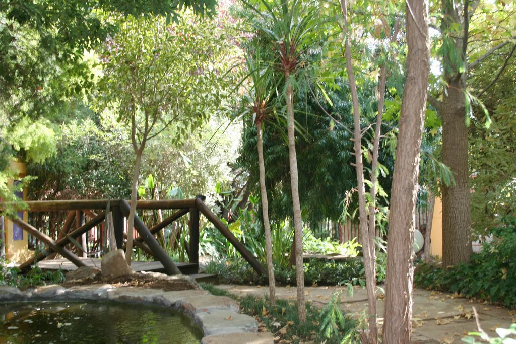 Jedidja Bed And Breakfast Bloemfontein Eksteriør billede