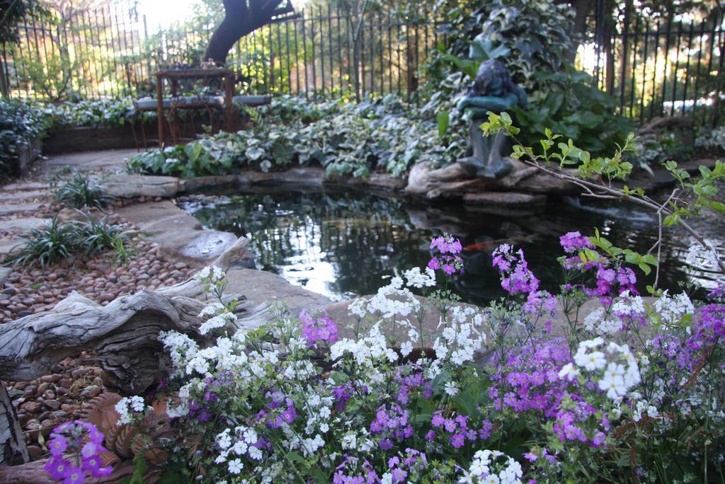 Jedidja Bed And Breakfast Bloemfontein Eksteriør billede