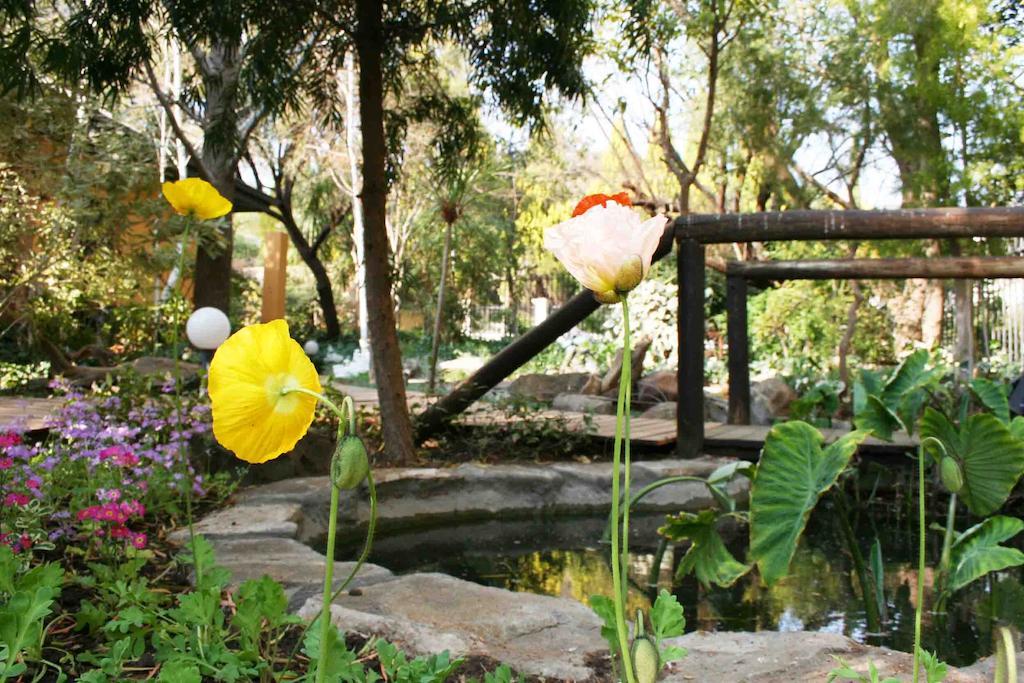 Jedidja Bed And Breakfast Bloemfontein Eksteriør billede