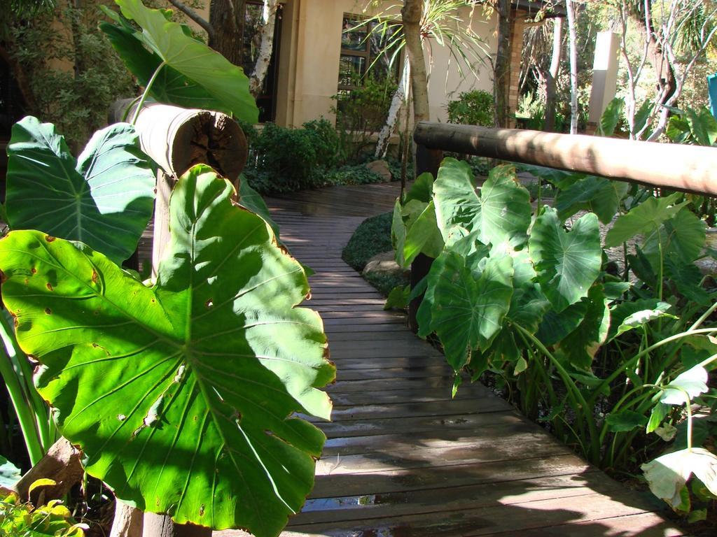 Jedidja Bed And Breakfast Bloemfontein Eksteriør billede